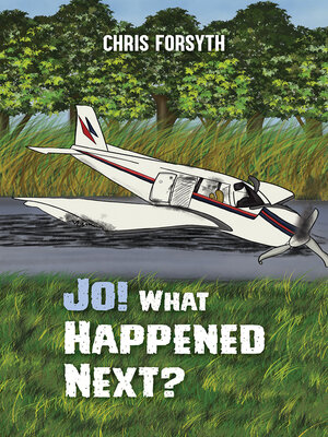 cover image of Jo! What Happened Next?